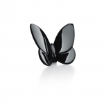 Black Lucky Butterfly